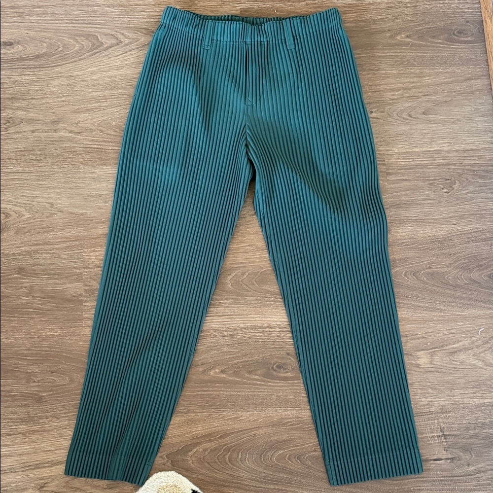 NWOT Issey Miyake Homme Plisse Green Pants